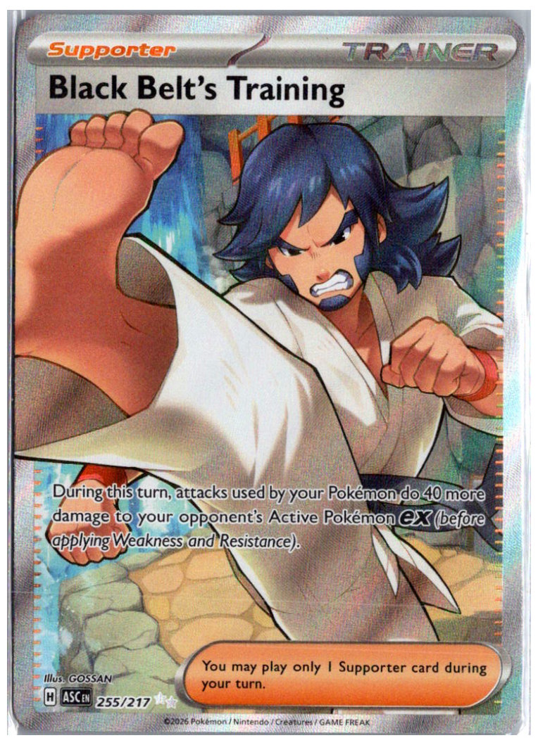 Black Belt's Training 255/217 (Ascended Heroes)
