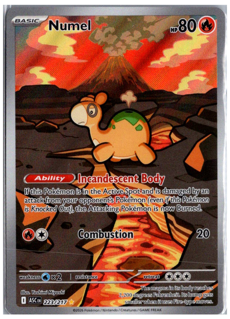 Numel 223/217 (Ascended Heroes)